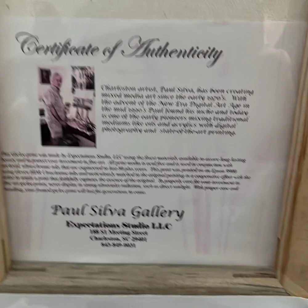 Canvas Prints by Paul Silva Gallery